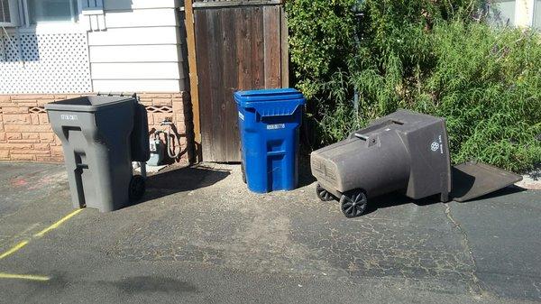 Their drivers really are dicks. The blue bin has not picked been picked up yet. The town of Los Gatos; shame on you