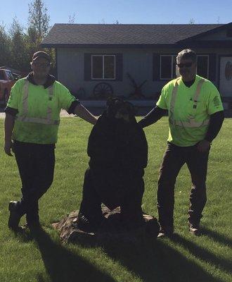 Mason and Jon moving a carved bear stump for a customer.