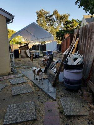 Had a bunch of junk in my yard, I'm a single women, had no one to clean it up. I found 3 Kings hauling(Todd) on Yelp. They did a great job.