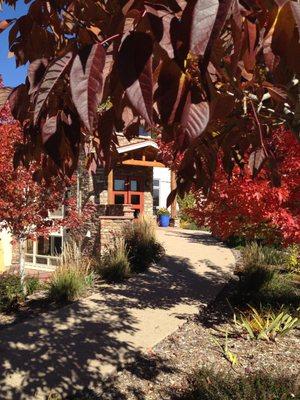 Autumn at Columbine