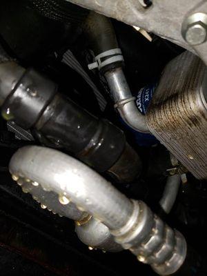 Picture showing coolant hose not pushed in all the way and Take 5's oil filter behind it