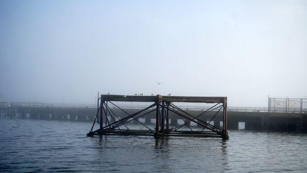 A view from the shore of Fort Armistead Park on a foggy morning.