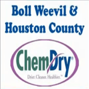 Boll Weevil ChemDry logo