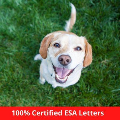 100% Certified ESA Letters