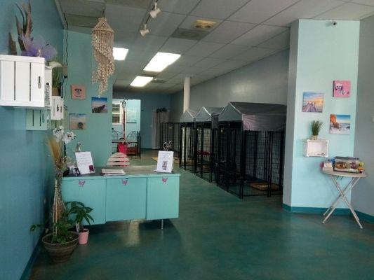 An open concept salon that is clean, comfortable and lower stress.