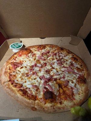 Papa Johns Pizza