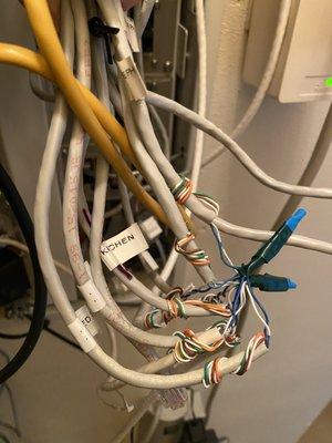 Ethernet cables decapitated and twisted together because???