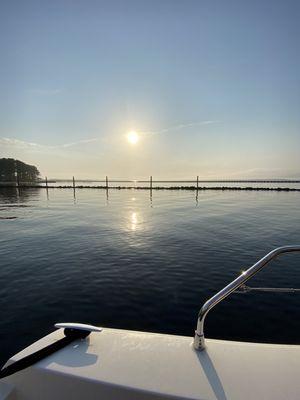 Sunrise at River Forest Marina