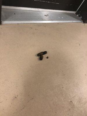 Feces in the hallway