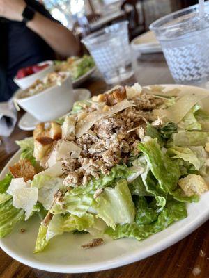 Large Chicken Caesar Salad