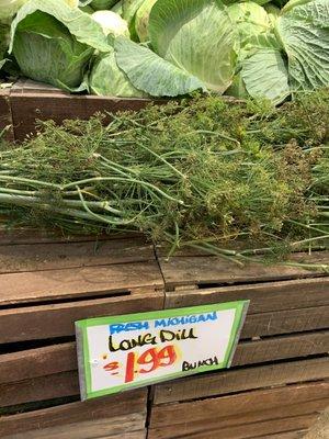 Michigan dill