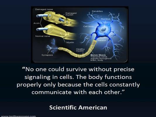 Have you ever had your nerve system checked?