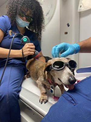 Laser therapy session!