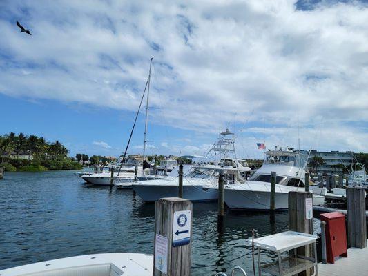 Lighthouse Point Marina