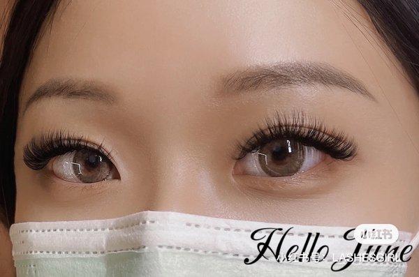 6D Volume Lashes