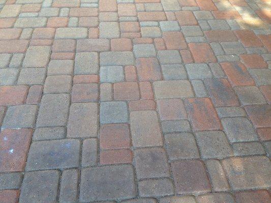 Paver Patio