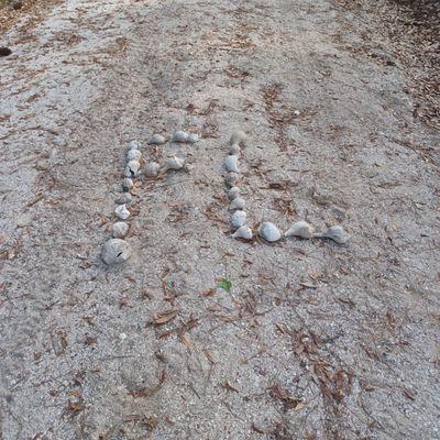 Someone spelled out FL in shells