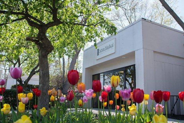 Acton Medical Associates main office in Acton MA. Adult, pediatric, and adolescent medicine.