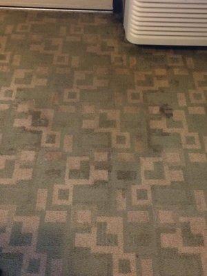 Stained carpet between the beds and throughout the room.