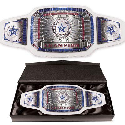 Championship Belt 2