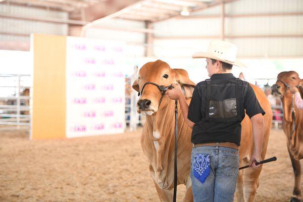 South Florida Fair