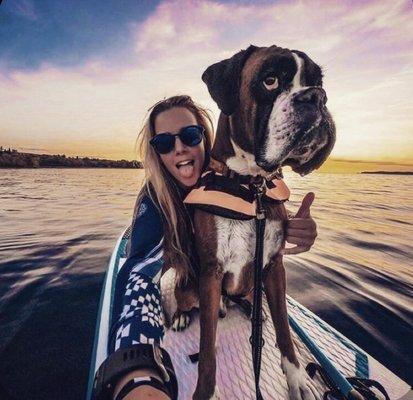 Paddle Board Rentals Long Beach Naples Island! Dog Boards Available.