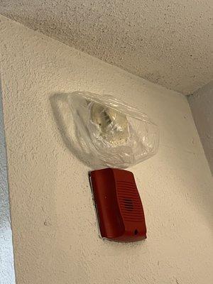 SMOKE DETECTOR COVERED