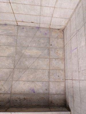 Mold and leftover purple shampoo on the floor of the shower stall