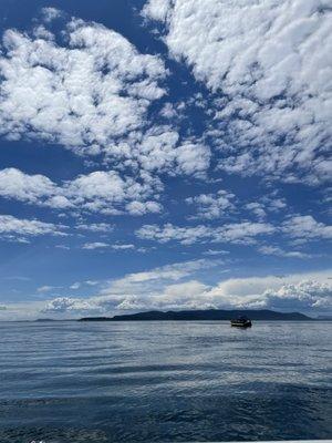 View from the boat