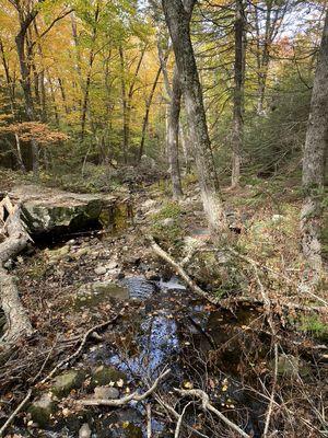 View Of Mullet Brook