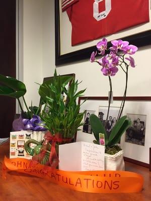 Wonderful flowers and plants from our clients to congratulate us!