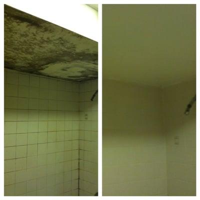 before and after bathroom mold removal