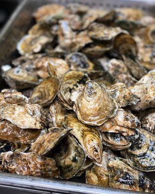 1/2 price oysters every Wednesday!