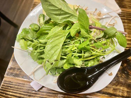 Thai basil, coriander, jalapeños, and bean sprouts