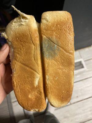 Moldy bread