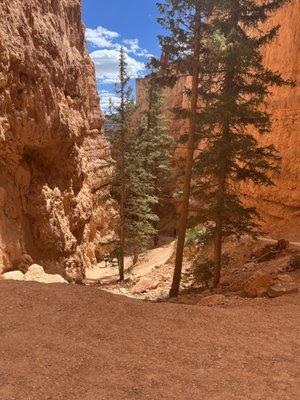 Bryce Canyon hike