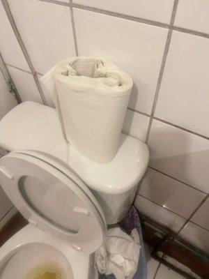 No regular toilet paper and not on holder