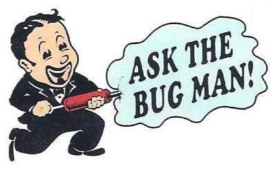 Ask The Bug Man