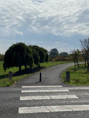 Frenchman's Bar Regional Park