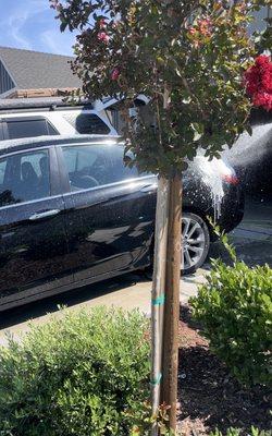 Foaming the outside of my car