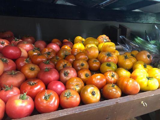 Tomatoes ... several different kind of heirloom varieties