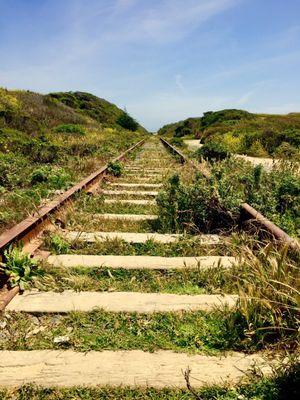 Abandoned Railway from an era gone by.