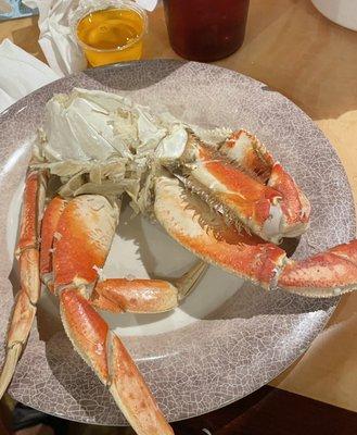 The Dungeness crab is as big as my plate.  The warm drawn butter and the easy to crack crabs are outstanding!