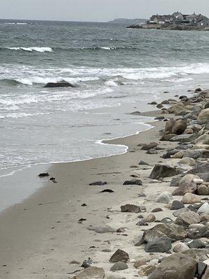 Wells Beach-kinda High tide.