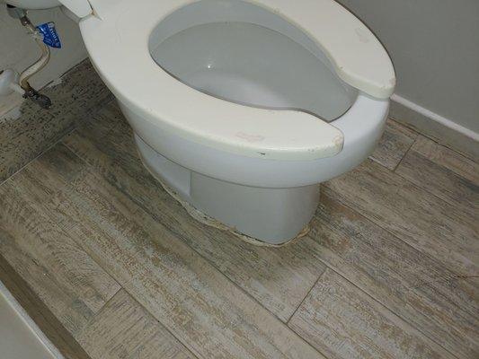 Nice newer flooring with a professional caulking job around a loose toilet.  The scarred seat is a nice touch.