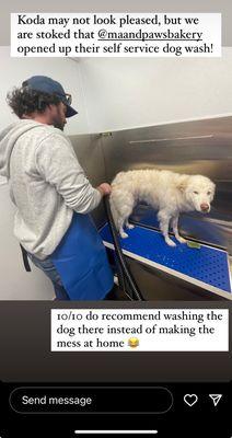 New dog wash! So nice!