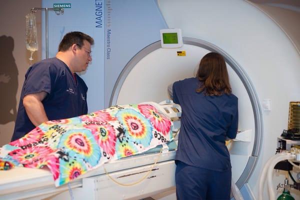 The AnimalScan team (board certified veterinary anesthesiologist and tech) work together to position a patient for their MRI.