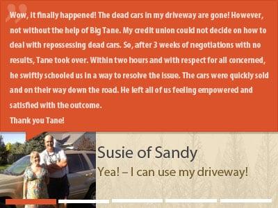 Susie from Sandy, UT is STOKED to use her driveway again!