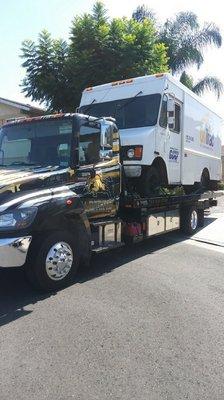 Awesome small little box truck