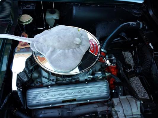 Guess what's in engine compartment of Corvette Stingray?